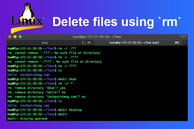 delete files on Linux using the rm command